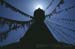 Bodhnath1